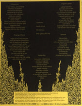 Load image into Gallery viewer, Zelosis : Zelosis (LP, Col)