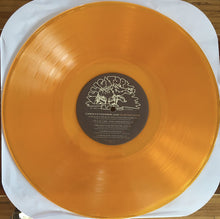 Load image into Gallery viewer, Carolyn Wonderland : Tempting Fate (LP, Album, Tra)
