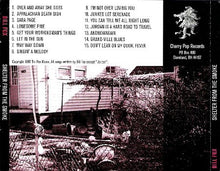 Load image into Gallery viewer, Bill Fox (3) : Shelter From The Smoke (CD, Album)
