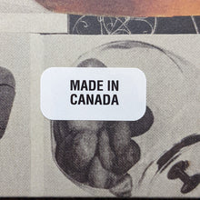 Load image into Gallery viewer, Animal Collective : Time Skiffs (2x12", Album, Ltd, Red)