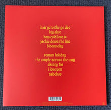 Load image into Gallery viewer, Fontaines D.C. : Skinty Fia (LP, Album)