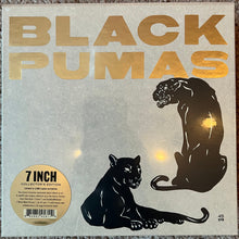 Load image into Gallery viewer, Black Pumas : Black Pumas (6x7", Album, Ltd + Box, RSD, Ltd)