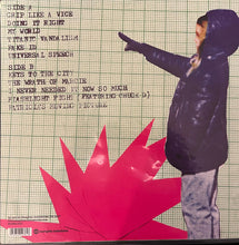 Load image into Gallery viewer, The Go! Team : Proof Of Youth (LP, RSD, Ltd, RE, Pin + Flexi, 7", S/Sided)