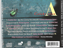 Load image into Gallery viewer, Various : A Celebration Of Blues - The Great Guitarists Vol. 1 (CD, Comp)