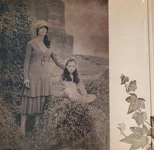 Load image into Gallery viewer, Belle And Sebastian* : A Bit Of Previous (LP, Album, Gat)