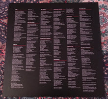 Load image into Gallery viewer, Interpol : The Other Side Of Make-Believe (LP, Album)
