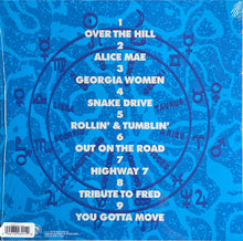 Load image into Gallery viewer, R.L. Burnside : Mr. Wizard (LP, Album, RE, Cle)