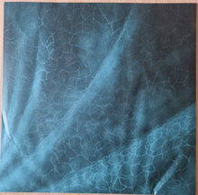 Load image into Gallery viewer, Eddie Vedder : Earthling (LP, Album, Blu)