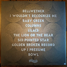 Load image into Gallery viewer, The Deer : The Beautiful Undead (LP, Album)