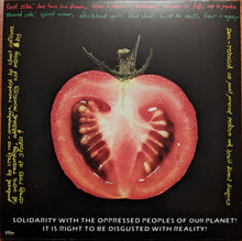 Load image into Gallery viewer, Chronophage : Chronophage (LP, Album)