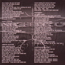 Load image into Gallery viewer, Lungbrush : Old School New School (CD, Album, RE)