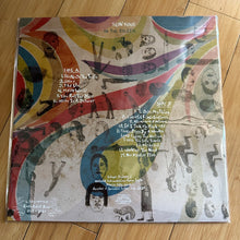 Load image into Gallery viewer, Sun Foot : In the Baleen (LP, Album)