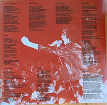 Load image into Gallery viewer, Subhumans : 29:29 Split Vision (LP, Album, RE, RM, Pur)