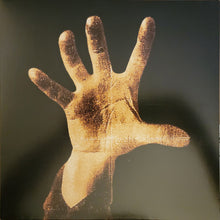 Load image into Gallery viewer, System Of A Down : System Of A Down (LP, Album, RE)