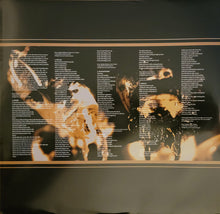 Load image into Gallery viewer, System Of A Down : System Of A Down (LP, Album, RE)