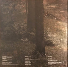 Load image into Gallery viewer, Noah Kahan : Stick Season (2xLP, Album)
