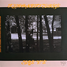 Load image into Gallery viewer, Mitski : The Land Is Inhospitable And So Are We (LP, Album, Gat)