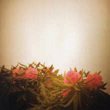 Load image into Gallery viewer, Unbunny : Snow Tires (CD, Album)