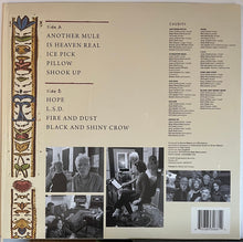 Load image into Gallery viewer, Johnny Dowd : Is Heaven Real? How Should I Know (LP, Album)