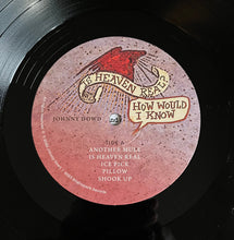 Load image into Gallery viewer, Johnny Dowd : Is Heaven Real? How Should I Know (LP, Album)