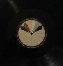 Load image into Gallery viewer, Will Johnson : No Ordinary Crown (LP)