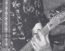 Load image into Gallery viewer, Beaver Nelson : The Last Hurrah (CD, Album)