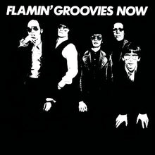 Load image into Gallery viewer, Flamin' Groovies* : Now (CD, Album, RE)
