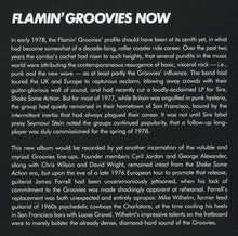 Load image into Gallery viewer, Flamin' Groovies* : Now (CD, Album, RE)