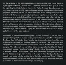 Load image into Gallery viewer, Flamin' Groovies* : Now (CD, Album, RE)