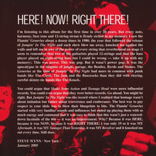 Load image into Gallery viewer, The Flamin' Groovies : Jumpin' In The Night (CD, Album, RE, RM)