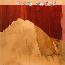 Load image into Gallery viewer, Unbunny : Sensory Underload (CD, Comp)