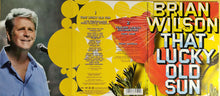 Load image into Gallery viewer, Brian Wilson : That Lucky Old Sun (DVD-V, Multichannel, NTSC)