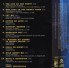 Load image into Gallery viewer, Jason* : One Foot In The Honky Tonk (CD, Album)