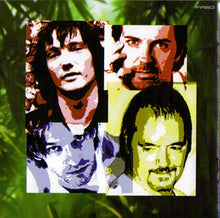 Load image into Gallery viewer, Martin Gordon : The Baboon In The Basement (CD, Album)