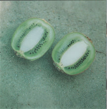 Load image into Gallery viewer, Patty Larkin : Perishable Fruit (HDCD, Album)