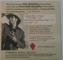 Load image into Gallery viewer, Jim White : Pensacola, Texas (CD, Mini, Promo)