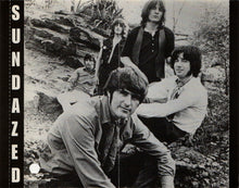 Load image into Gallery viewer, The Box Tops* : Dimensions (CD, Album, RE)