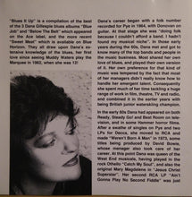 Load image into Gallery viewer, Dana Gillespie : Blues It Up (CD, Comp)