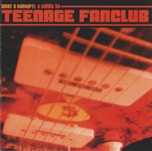 Load image into Gallery viewer, Various : What A Concept!: A Salute To Teenage Fanclub (CD, Comp)