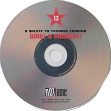 Load image into Gallery viewer, Various : What A Concept!: A Salute To Teenage Fanclub (CD, Comp)