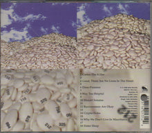 Load image into Gallery viewer, The Loud Family : Days For Days (CD, Album)