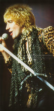 Load image into Gallery viewer, Rod Stewart : Rod Stewart Live (CD, Comp)