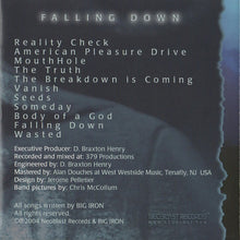 Load image into Gallery viewer, Big Iron : Falling Down (CD, Album)
