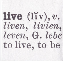 Load image into Gallery viewer, Neil Young + Promise Of The Real : Earth (2xCD, Album)