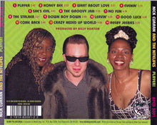 Load image into Gallery viewer, Nick Curran And The Nitelifes : Player! (CD, Album)