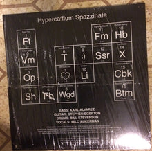 Load image into Gallery viewer, Descendents : Hypercaffium Spazzinate (LP, Album)