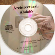 Load image into Gallery viewer, Luca Ferrari (3), Annie Marie Roulin Write Upon Syd Barrett : A Fish Out Of Water (Pap + CD, Single)