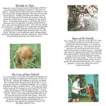 Load image into Gallery viewer, Kirt Kempter : Wrinkle In Time (CD, Album)