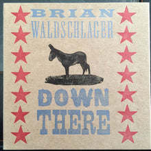 Load image into Gallery viewer, Brian Waldschlager : Down There (CD, Album)