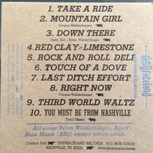 Load image into Gallery viewer, Brian Waldschlager : Down There (CD, Album)